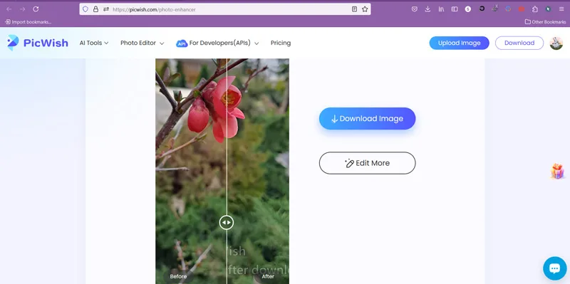 سایت هوش مصنوعی افزایش کیفیت تصویر PicWish