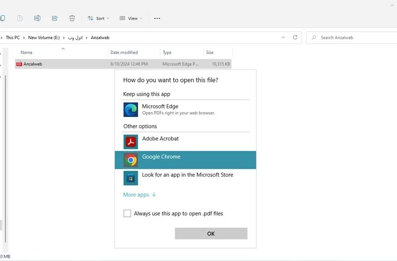 مشکل باز نشدن فایل pdf