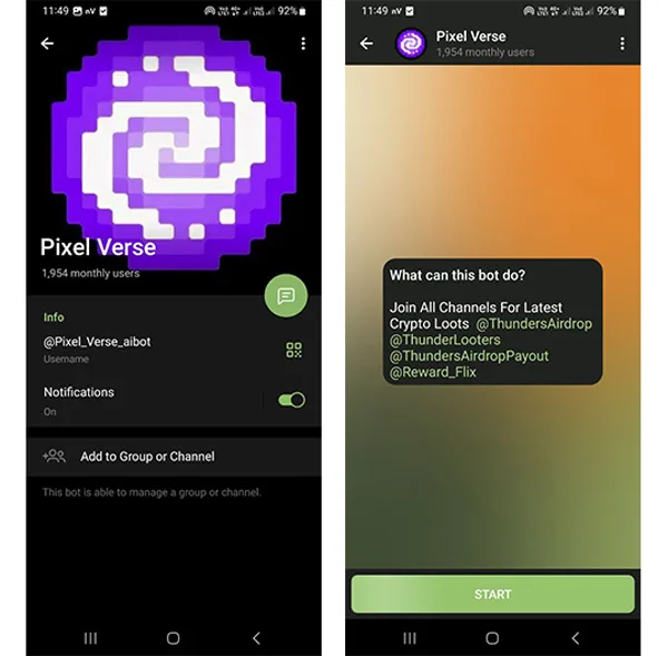 Rocky Rabbit بهترین جایگزین همستر کامبت
