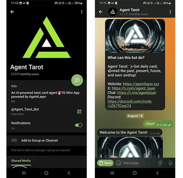 ربات تلگرامی Agent Tarot