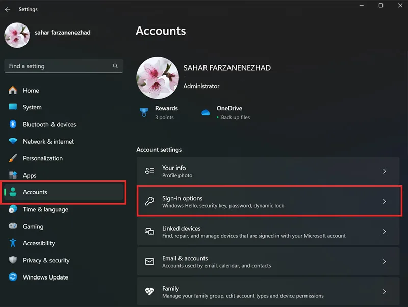 ورود به تنظیمات Sign-in options