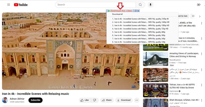 دانلود ویدیو یوتیوب با IDM