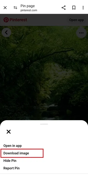 ذخیره گیف در گالری