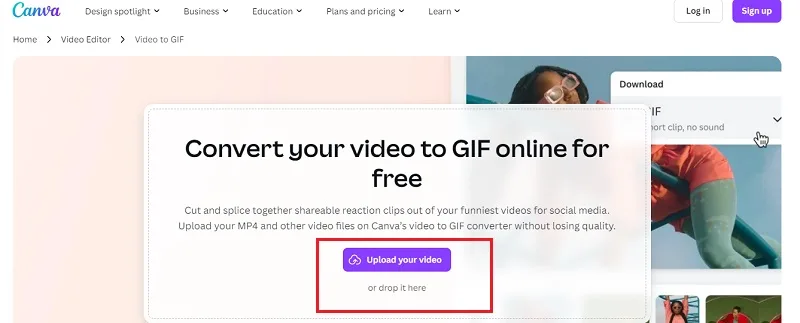 استفاده از Canva برای تبدیل فیلم به گیف 1