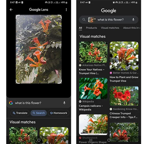 هوش مصنوعی Google Lens برای اندروید