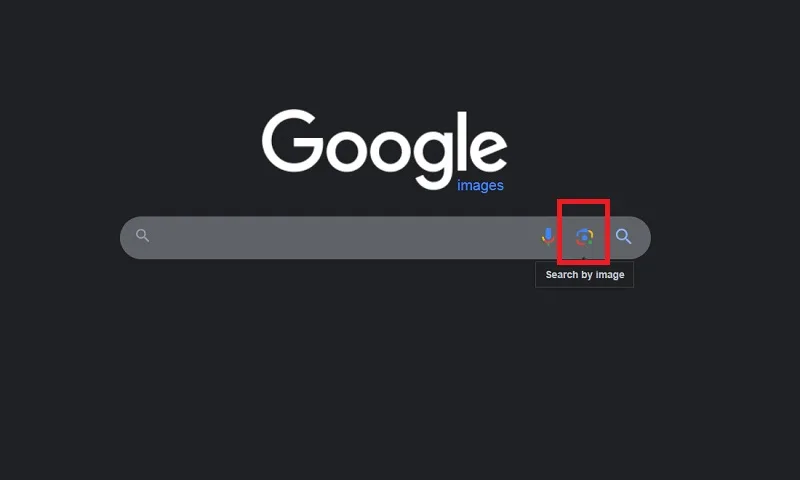 استفاده از تصاویر برای پیدا کردن افراد در google images