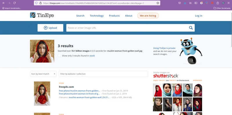استفاده از سایت TinEye برای پیدا کردن افراد