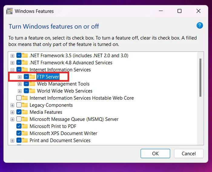 تنظیمات بخش FTP Server برای راه اندازی FTP Server در ویندوز 11
