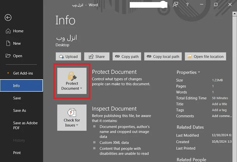 بخش Protect Document در تنظیمات word