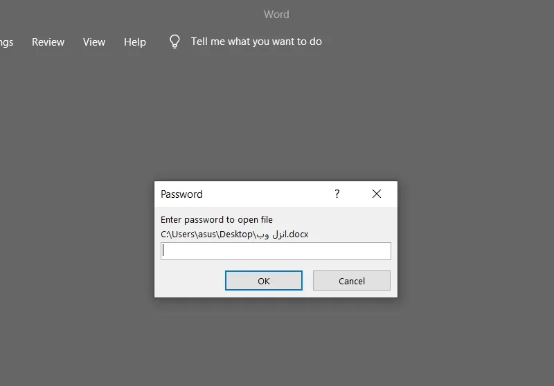 ورود به فایل word با استفاده از رمز عبور