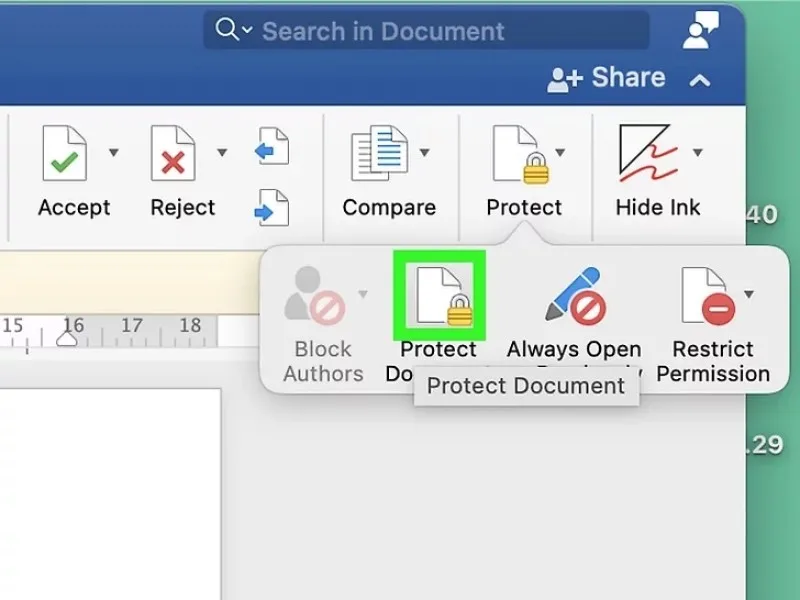 گزینه Protect Document در word سیستم عامل مک