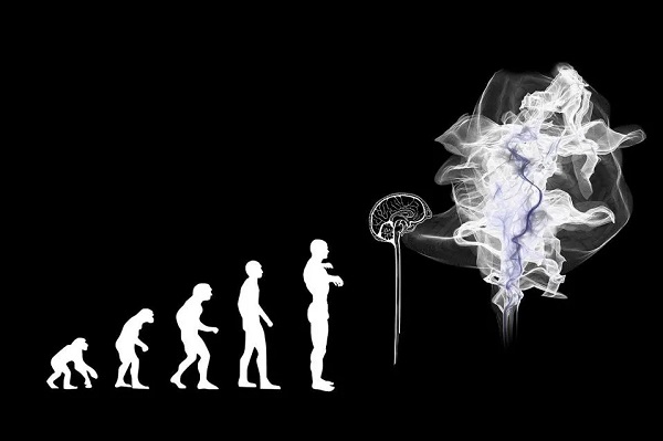تحلیل جدید کارمند ایرانی OpenAI : هوش مصنوعی جامع در بیشتر کارها از انسانها بهتر عمل میکند