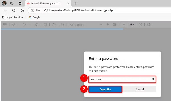 در کادر گفتوگوی Enter a Password، رمز عبور PDF را وارد کنید و سپس روی "Open File" کلیک کنید یا کلید Enter را فشار دهید.