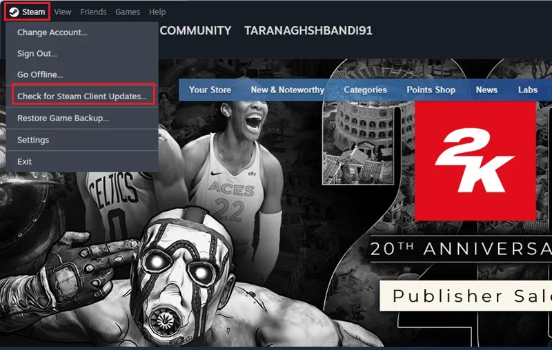 رفع ارور steam در بازی