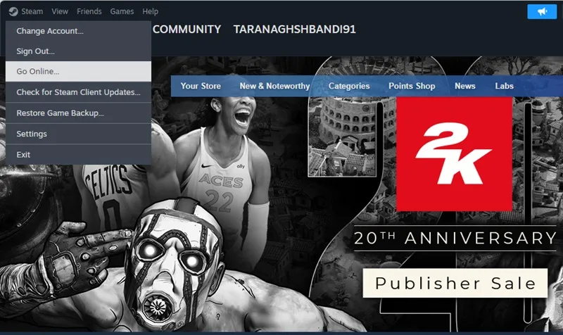 رفع ارور steam در بازی
