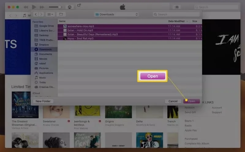 در آیفون چگونه آهنگ دانلود کنیم؟ دانلود و افزودن موسیقی در آیفون در برنامه iTunes
