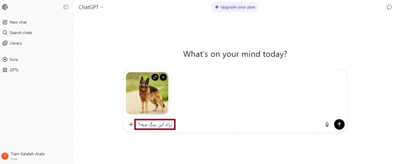 تشخیص نژاد سگ با هوش مصنوعی
