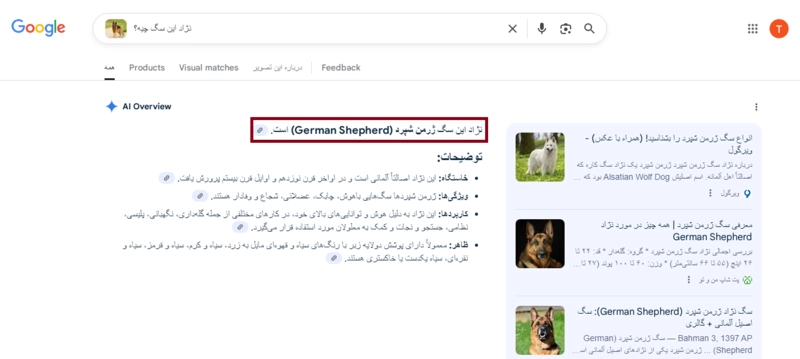 تشخیص نژاد سگ با گوگل لنز