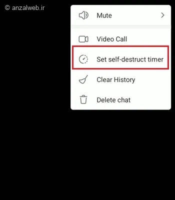 ارسال عکس تایمر دار تلگرام