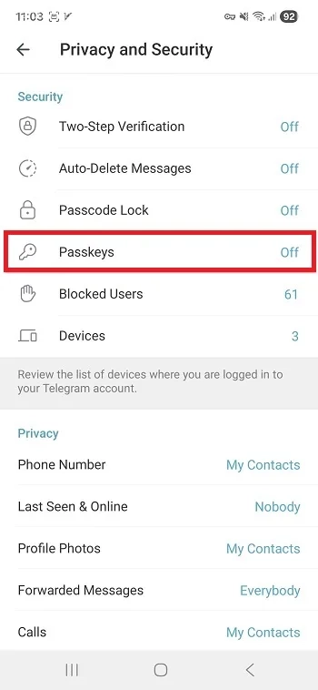 گزینه Passkeys