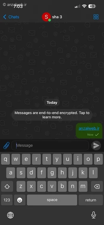 صفحه چت شخص دلتاچت