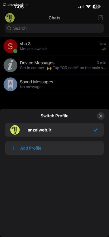 گزینه + Add Profile دلتا چت