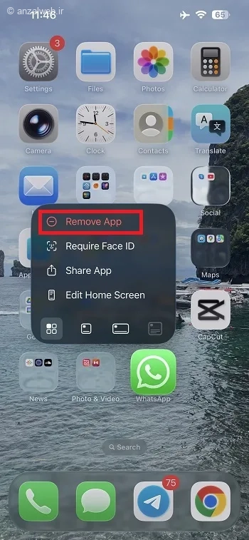 گزینه Remove App