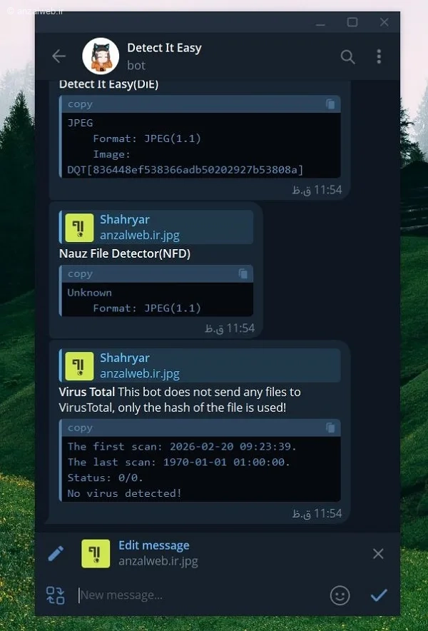 پیام No virus detected!