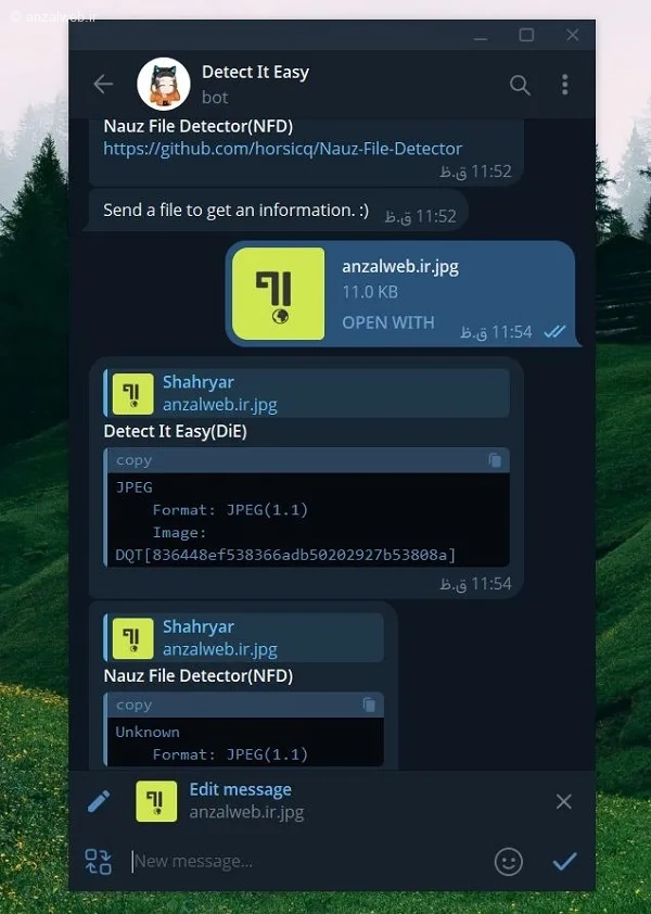 اسکن فایلهای تلگرام با Detect It Easy