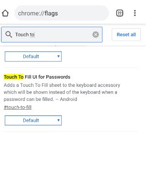 آموزش کار با Autofill برای تکمیل خودکار فیلد ها در کامپیوتر ، اندروید و..