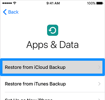 Restore from iCloud Backup