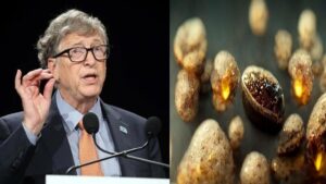 رفع بحران جهانی گرسنگی با دانه‌های جادویی بیل گیتس