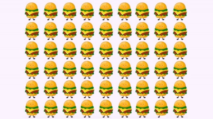 تست بینایی : همبرگر متفاوت در تصویر را پیدا کنید!