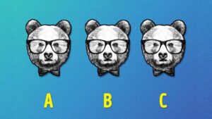 تست بینایی : خرس متفاوت را پیدا کنید [+ جواب معما]