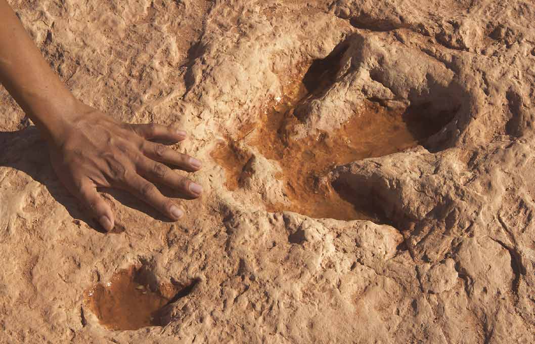 کشف گونه جدید از دایناسورها