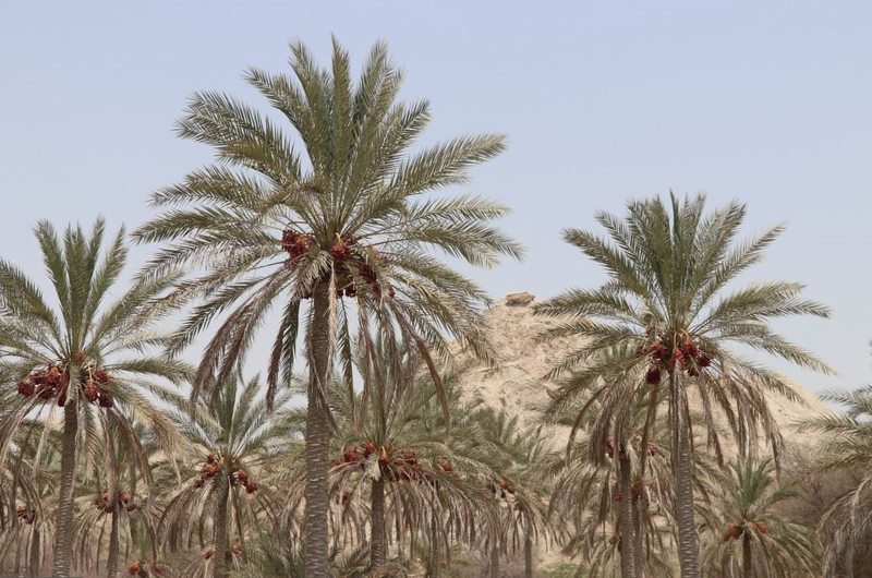 بهترین زمان سفر به قشم کی است؟