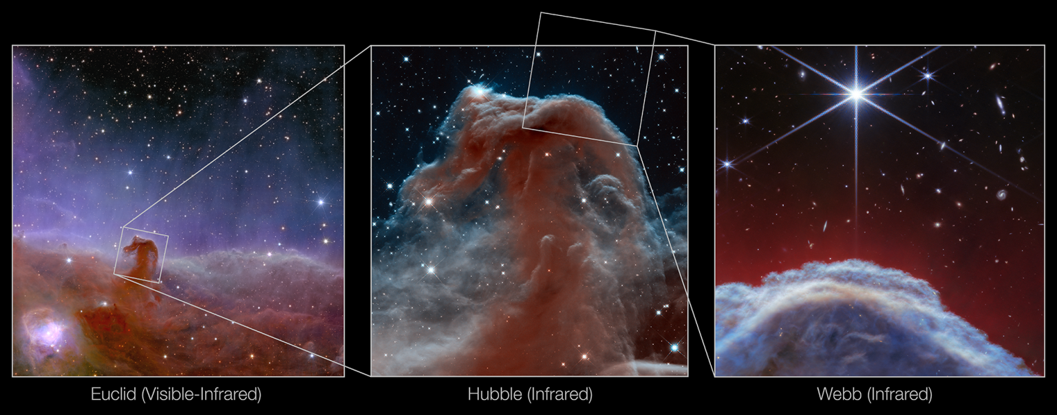 ثبت تصویری زیبا از سحابی سر اسب (Horsehead) توسط تلسکوپ جیمزوب