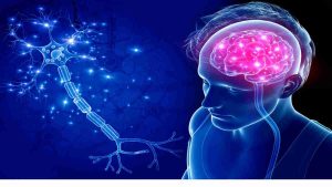 ویزیت متخصص مغز و اعصاب در منزل