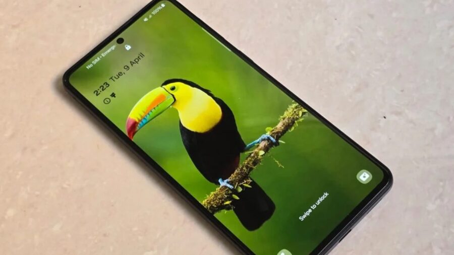 سامسونگ آماده معرفی گوشی‌های میان‌رده Galaxy M56 و Galaxy F56 است
