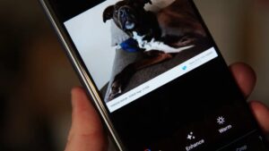 امکان ویرایش سریع پیش از اشتراک‌گذاری در اپلیکیشن Google Photos فراهم شد