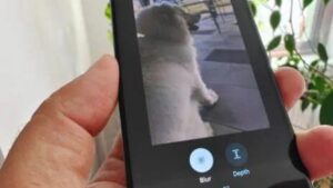 قابلیت ساخت استیکر به اپلیکیشن گوگل فوتوز در iOS اضافه شد